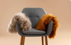 Modern Soft Chair